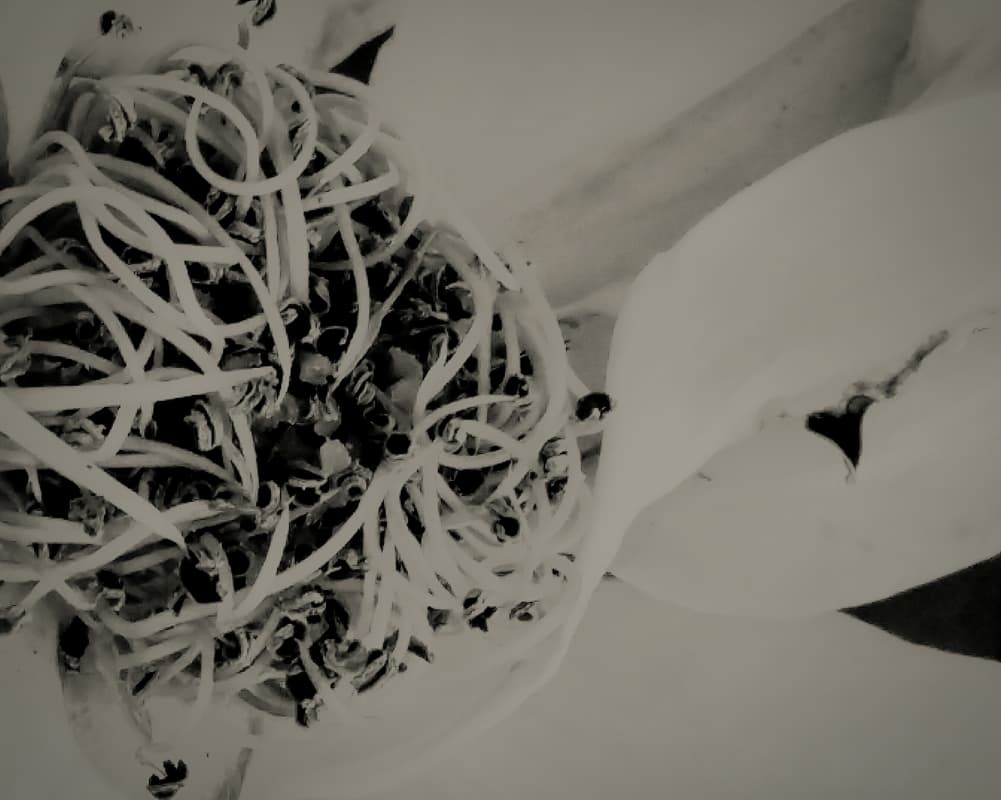 Minimalism is Dead: Why Cluttered, Data-Dense UIs are Making a Comeback