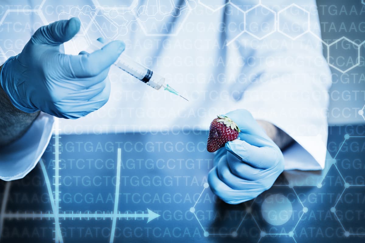 Featured image for: Regenerative Medicine Update: Stem Cell Therapies for Heart and Nerve Repair