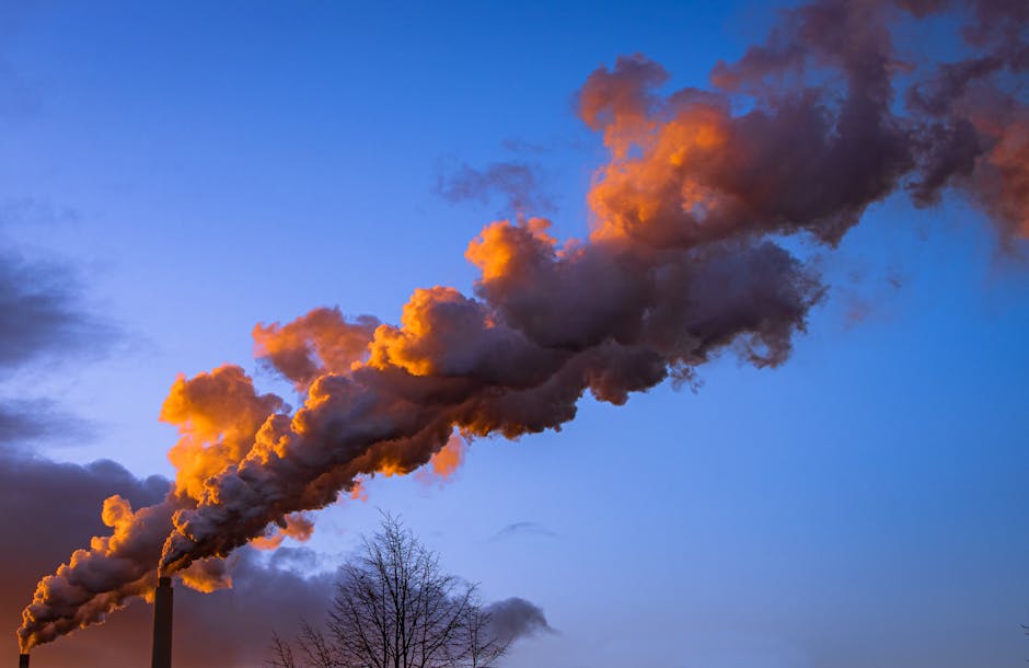 The Carbon Footprint Calculator: How Tech is Driving Eco-Conscious Booking Decisions