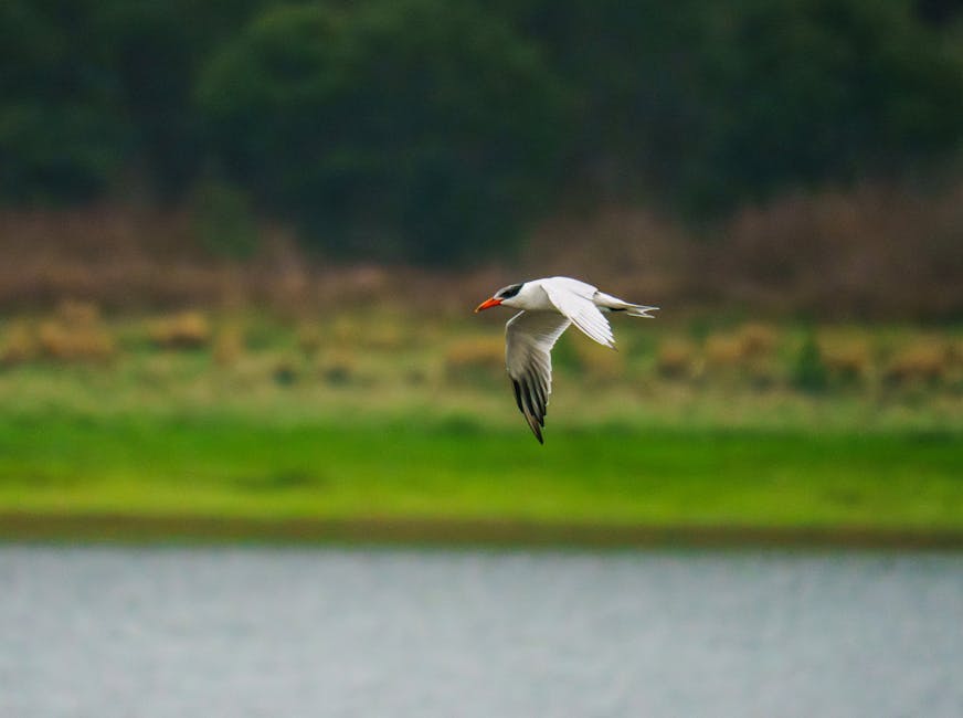 Try Before You Fly: How VR Tours are Reducing Booking Uncertainty and Cancellations